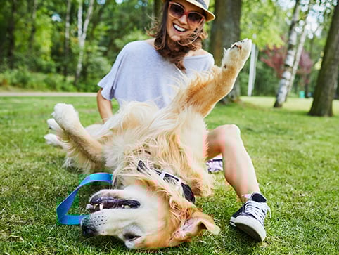 CHM asks: What does it mean to be a dog mom?