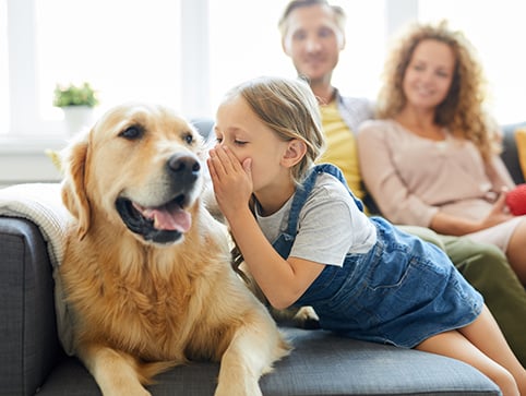 CHM asks what are the health benefits of having a dog?