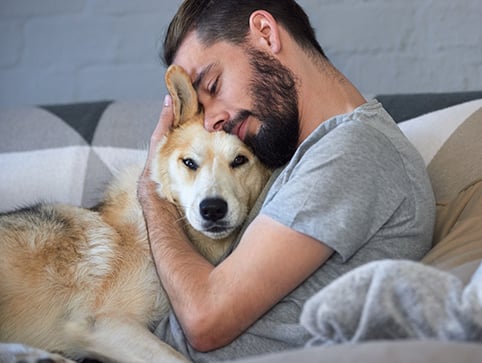 CHM looks at dogs and mental health.
